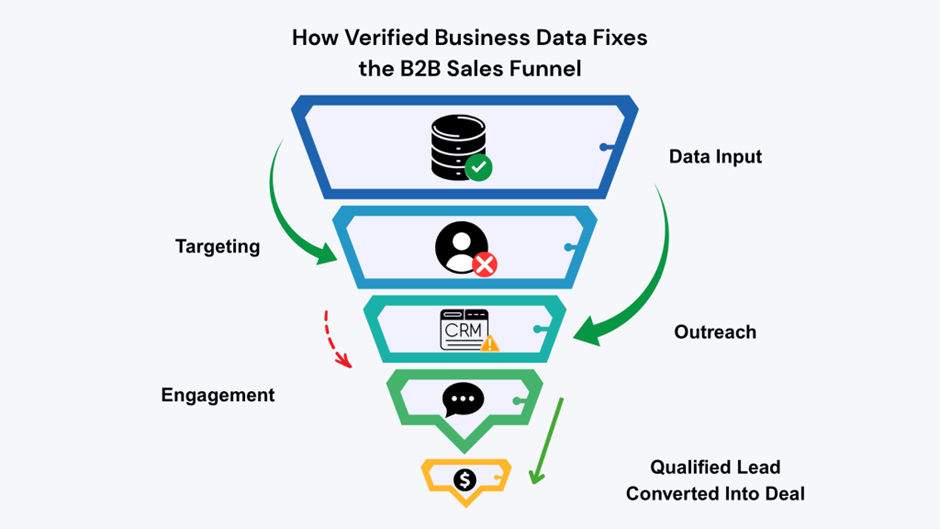 Infographic of B2B sales funnel showing how verified business data improves targeting,
CRM outreach, engagement, and lead conversion